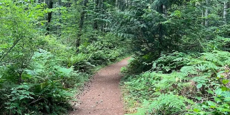 Fisher Pond