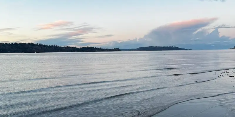 Fern Cove